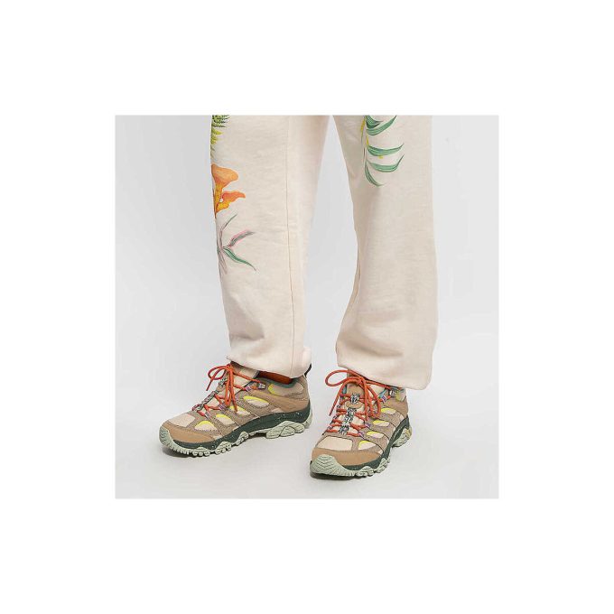 Proyecto Moab 3 X Parques